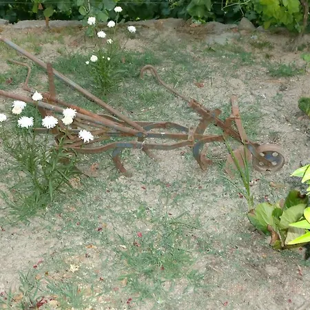 Quinta Lindas 펜션 몬딤데바스토