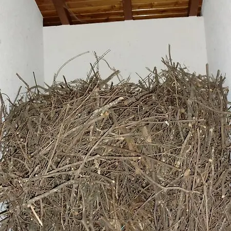 Quinta Lindas Tatil Evi