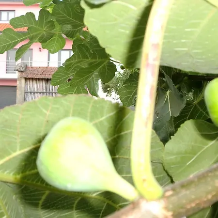 Quinta Lindas Tatil Evi *