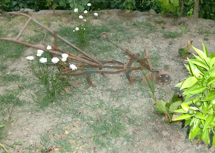 Quinta Lindas בית נופש מונדים דה בסטו