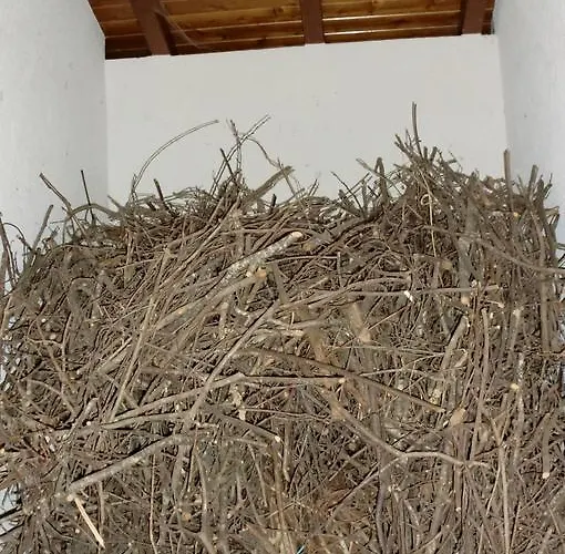 Quinta Lindas Hébergement de vacances