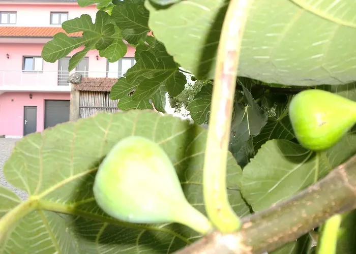 Quinta Lindas Hébergement de vacances *